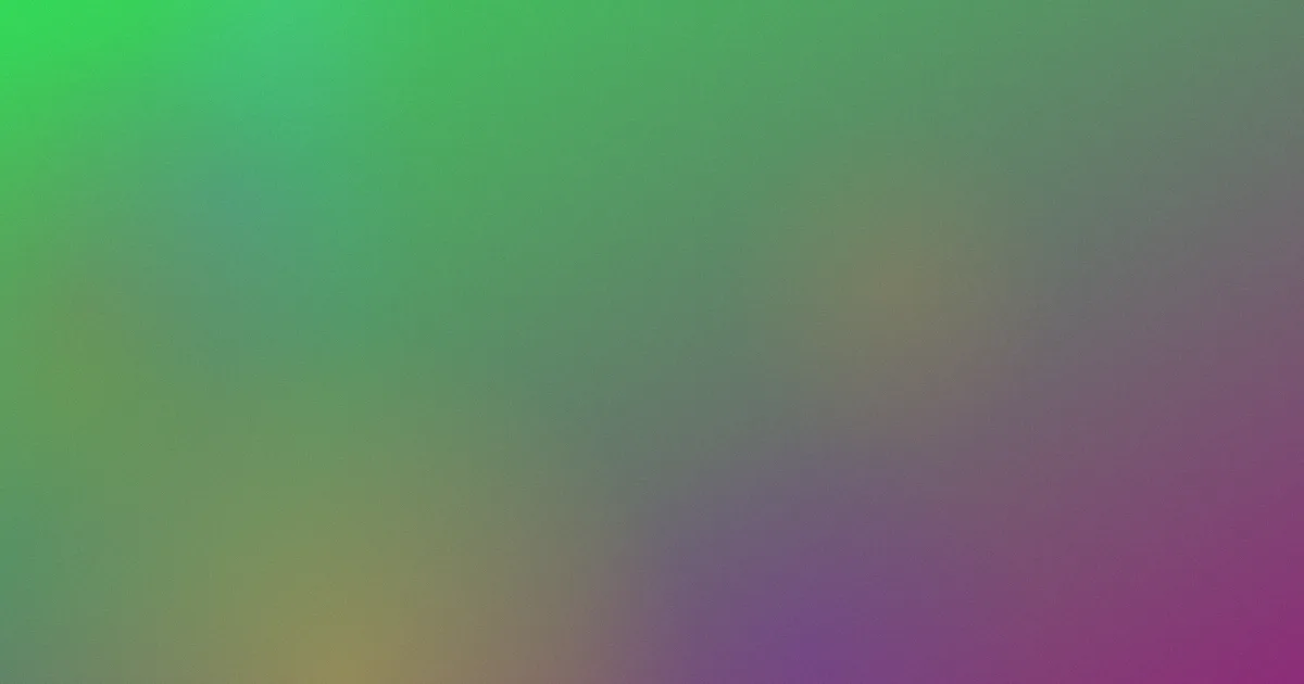 井上织姬避坑深度解析